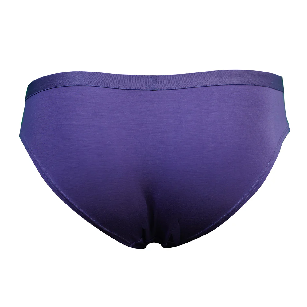 SHEATH Women's Bamboo Bikini Briefs - Image 12