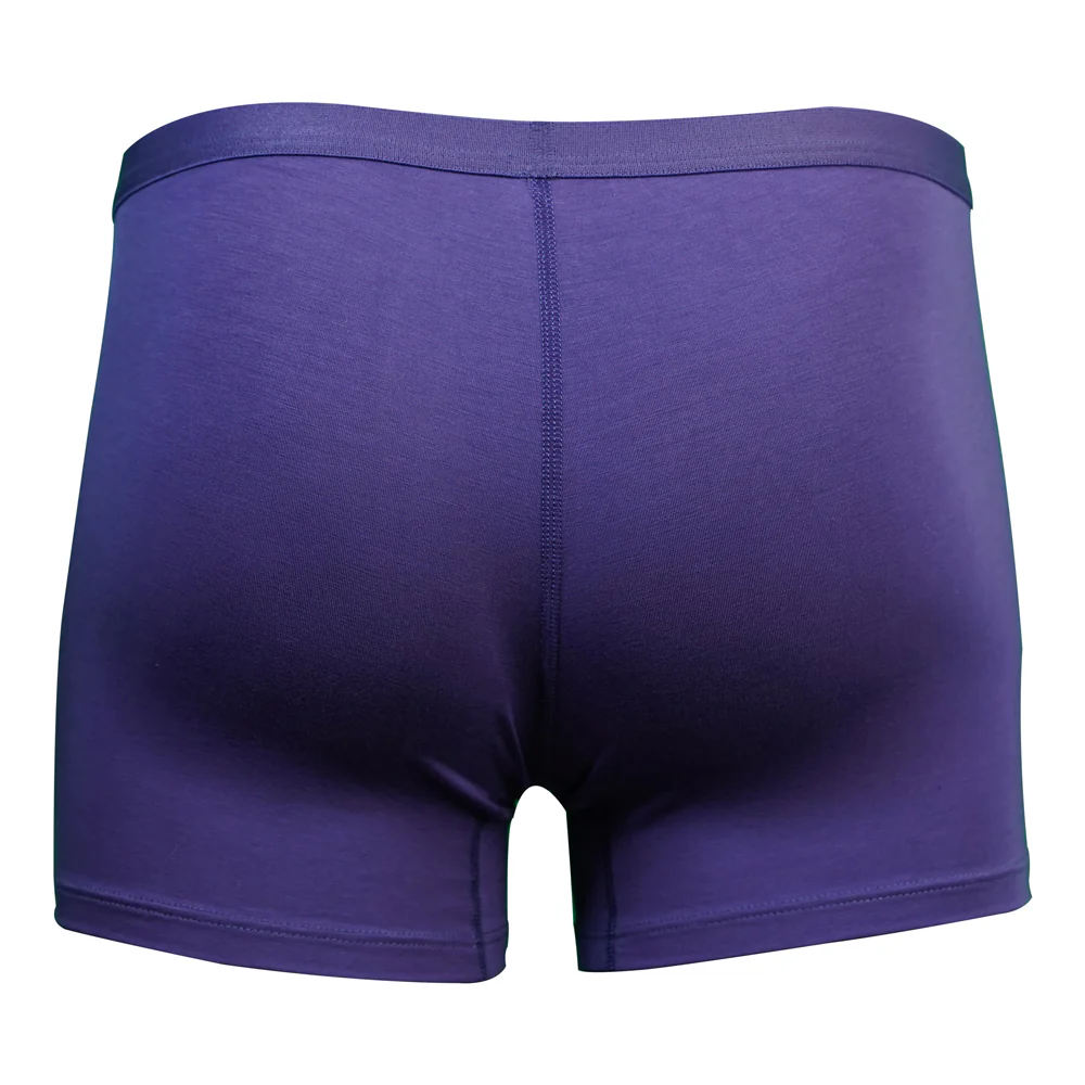 SHEATH Women's Bamboo Boxer Brief - Image 11