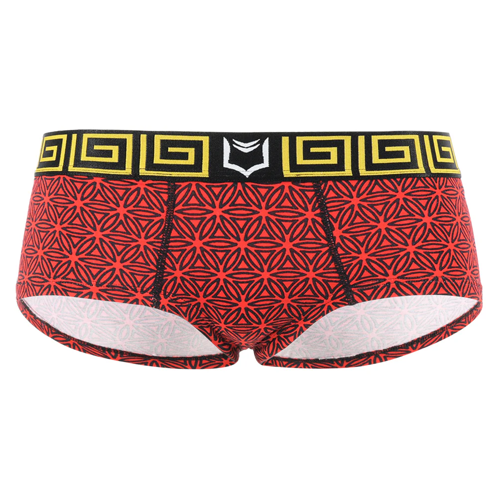 SHEATH Women's Cheeky Boyshorts - Image 6
